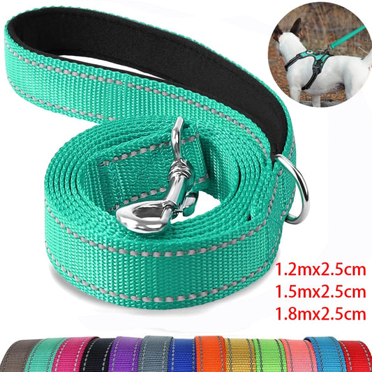 Reflective Nylon Dog Leash (Multiple Lengths)