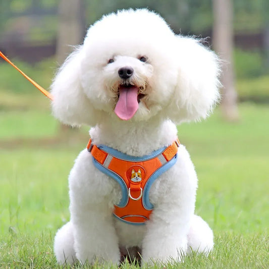 Adjustable Reflective Pet Harness & Leash Set